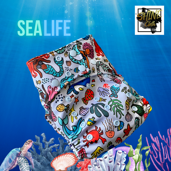 Sea Life - Both Prints One Cover